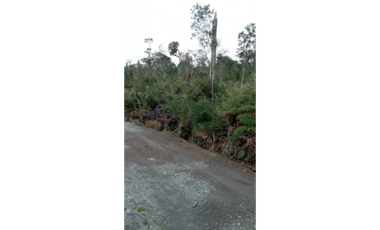 D9427083- Venta Parcela Alto Río Pescado - 5941Mts2