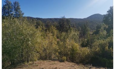 D9423799- Venta Terreno Agri. El Llano Caleu-6.3Ha