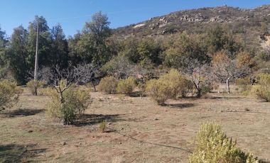 D9423799- Venta Terreno Agri. El Llano Caleu-6.3Ha