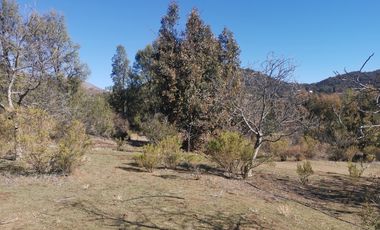 D9423799- Venta Terreno Agri. El Llano Caleu-6.3Ha