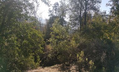 D9423799- Venta Terreno Agri. El Llano Caleu-6.3Ha