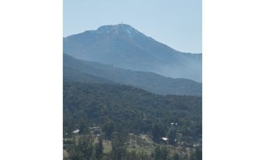 D9423799- Venta Terreno Agri. El Llano Caleu-6.3Ha