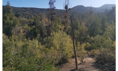 D9423799- Venta Terreno Agri. El Llano Caleu-6.3Ha