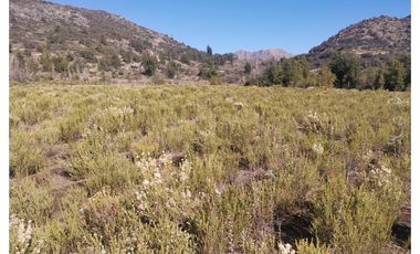 D9423799- Venta Terreno Agri. El Llano Caleu-6.3Ha