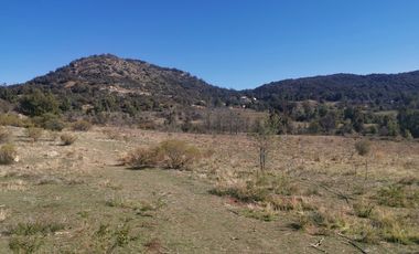 D9423799- Venta Terreno Agri. El Llano Caleu-6.3Ha