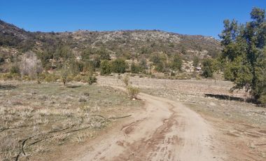 D9423799- Venta Terreno Agri. El Llano Caleu-6.3Ha