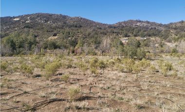 D9423799- Venta Terreno Agri. El Llano Caleu-6.3Ha