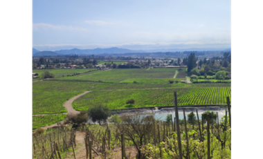 M9459383- Venta Parcelas Viñas de Buin - SIN COMISION