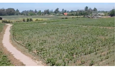 M9459383- Venta Parcelas Viñas de Buin - SIN COMISION