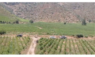 M9459383- Venta Parcelas Viñas de Buin - SIN COMISION