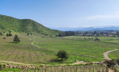 M9459383- Venta Parcelas Viñas de Buin - SIN COMISION