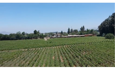 M9459423- Venta Terreno Viñas de Buin 10 ha - SIN COMISION