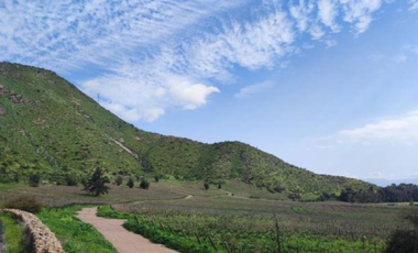 M9459423- Venta Terreno Viñas de Buin 10 ha - SIN COMISION