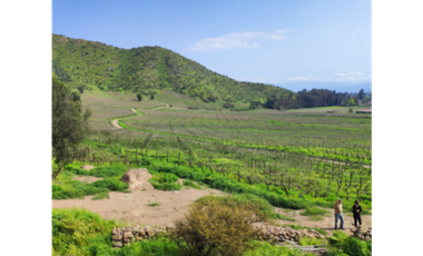 M9459423- Venta Terreno Viñas de Buin 10 ha - SIN COMISION
