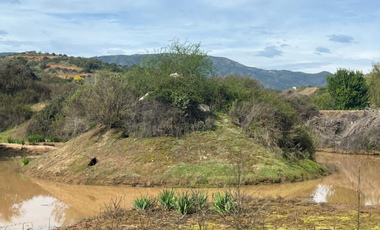D9661496- Venta Parcela Sector El Sauce - Melipilla
