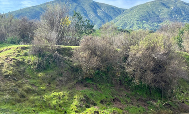 D9661496- Venta Parcela Sector El Sauce - Melipilla