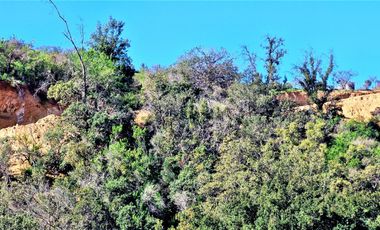 Venta de parcela de 6.000 m2., en Condominio exclusivo en Lo Orozco, Quilpué, 51,5 M$