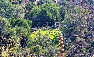 Venta de parcela de 6.000 m2., en Condominio exclusivo en Lo Orozco, Quilpué, 51,5 M$