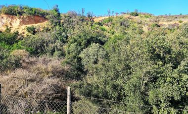 Venta de parcela de 6.000 m2., en Condominio exclusivo en Lo Orozco, Quilpué, 51,5 M$