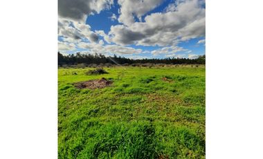 A9420455- Venta Parcela Lagunilla Quella - 5000Mts