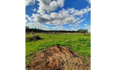 A9420455- Venta Parcela Lagunilla Quella - 5000Mts