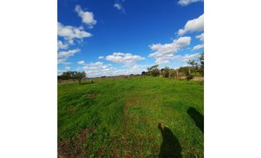A9420455- Venta Parcela Lagunilla Quella - 5000Mts
