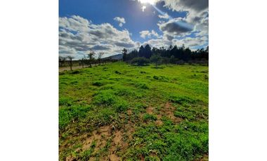 A9420455- Venta Parcela Lagunilla Quella - 5000Mts