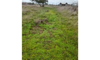 A9420455- Venta Parcela Lagunilla Quella - 5000Mts