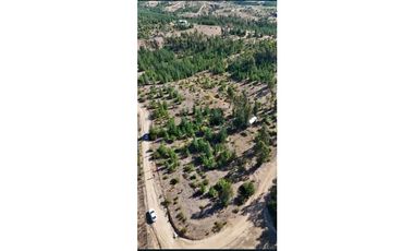 A9420508- Venta Parcela Hualañe Las Pataguas - 5000Mts