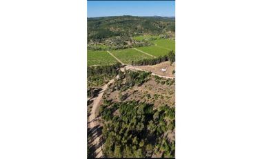 A9420508- Venta Parcela Hualañe Las Pataguas - 5000Mts