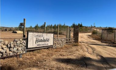 A9420508- Venta Parcela Hualañe Las Pataguas - 5000Mts