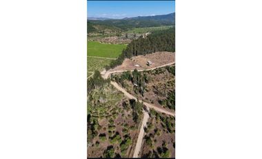 A9420508- Venta Parcela Hualañe Las Pataguas - 5000Mts