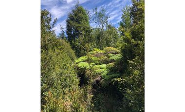D9423729- Venta Parcela Puerto Varas Alto Rio Pescado