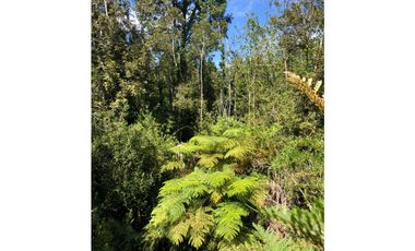 D9423729- Venta Parcela Puerto Varas Alto Rio Pescado