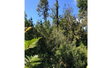 D9423729- Venta Parcela Puerto Varas Alto Rio Pescado