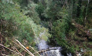 D9423729- Venta Parcela Puerto Varas Alto Rio Pescado