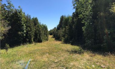 D9423729- Venta Parcela Puerto Varas Alto Rio Pescado