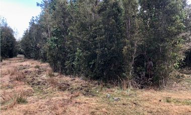D9423750- Venta Parcela P.Varas Alto Rio Pescado