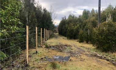 D9423750- Venta Parcela P.Varas Alto Rio Pescado