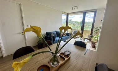 Departamento en Arriendo en Calle Puerto Montt 1641