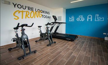 VENTA SUITE XENTRIC ZIBATÁ