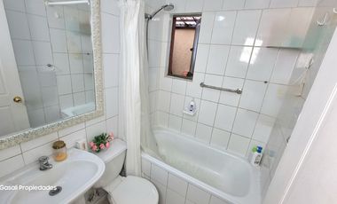 PASO ALTO - LAS VIZCACHAS