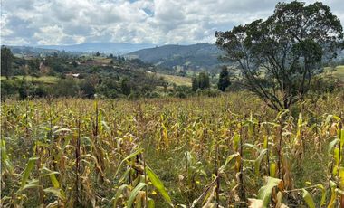 Lote para la venta en Tuta, Boyacá para la venta
