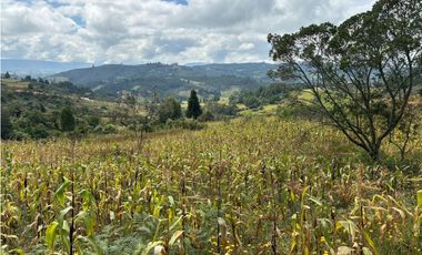 Lote para la venta en Tuta, Boyacá para la venta