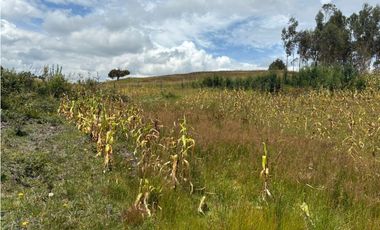 Lote para la venta en Tuta, Boyacá para la venta