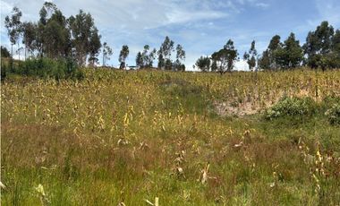Lote para la venta en Tuta, Boyacá para la venta