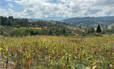 Lote para la venta en Tuta, Boyacá para la venta