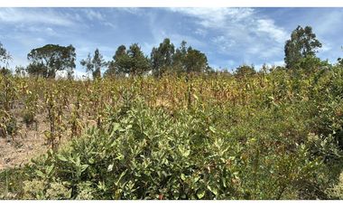 Lote para la venta en Tuta, Boyacá para la venta