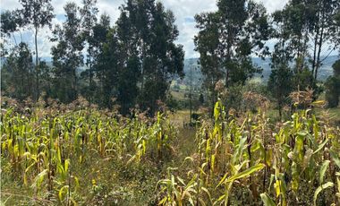 Lote para la venta en Tuta, Boyacá para la venta