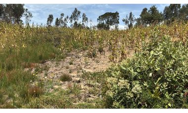 Lote para la venta en Tuta, Boyacá para la venta